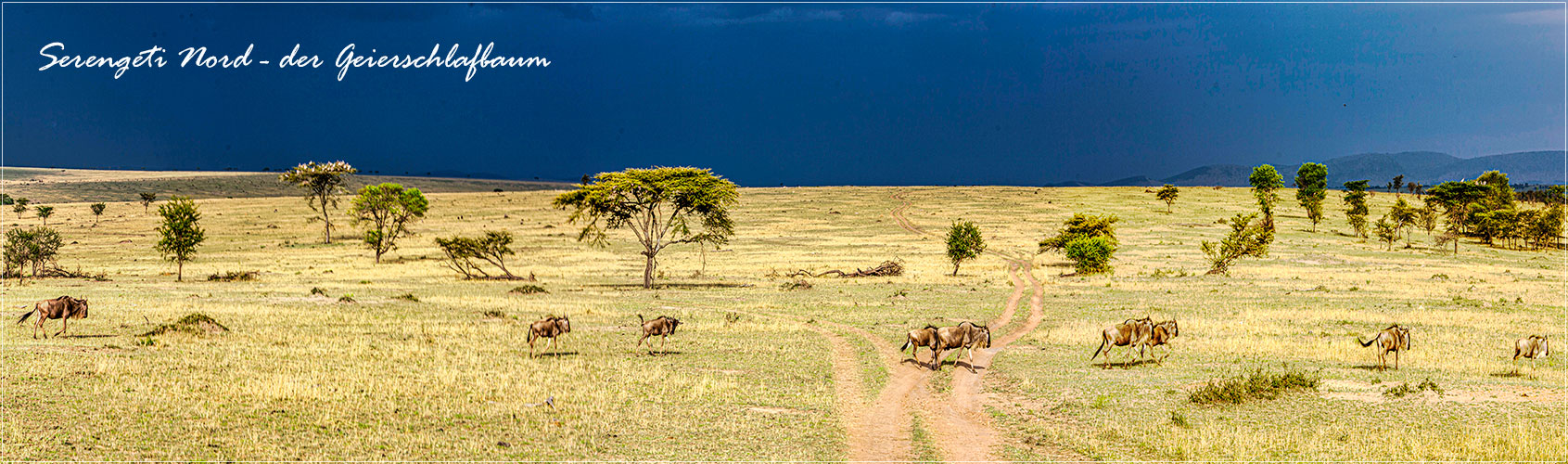 Serengeti Nord